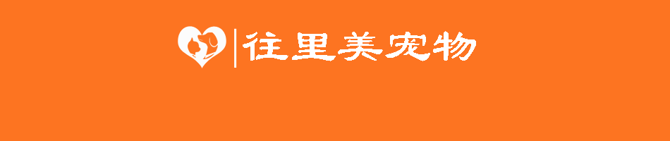 金毛狗能天天游泳吗冬天_金毛狗能天天游泳吗冬天怎么办